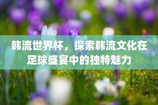 韩流世界杯，探索韩流文化在足球盛宴中的独特魅力