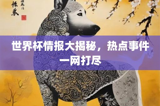 世界杯情报大揭秘，热点事件一网打尽