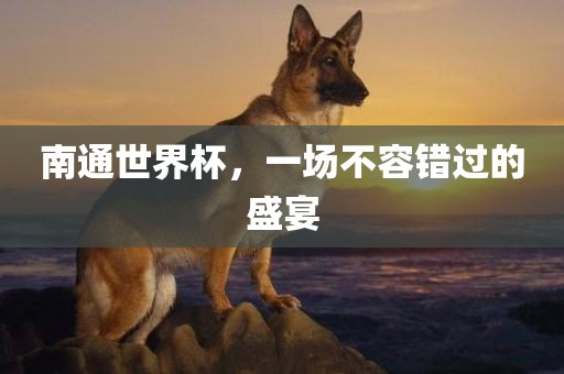 南通世界杯，一场不容错过的盛宴