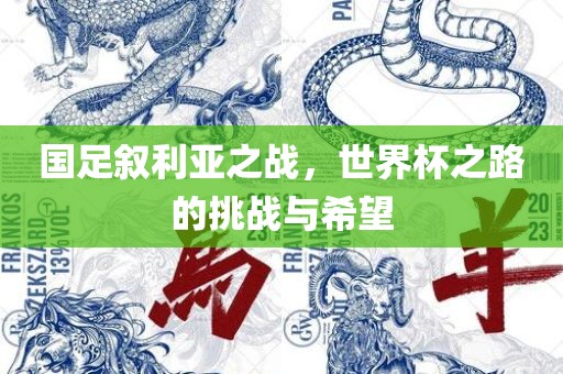 国足叙利亚之战，世界杯之路的挑战与希望