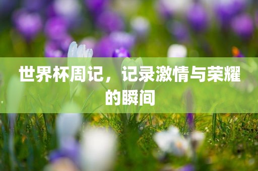 世界杯周记，记录激情与荣耀的瞬间
