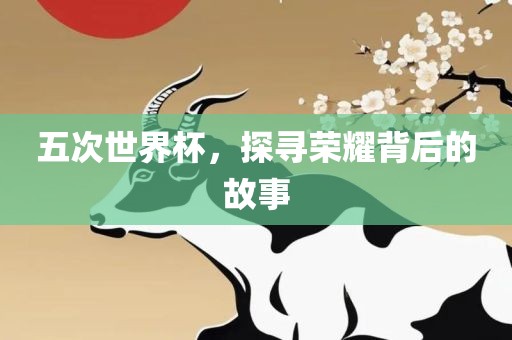 五次世界杯，探寻荣耀背后的故事