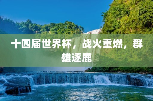 十四届世界杯，战火重燃，群雄逐鹿