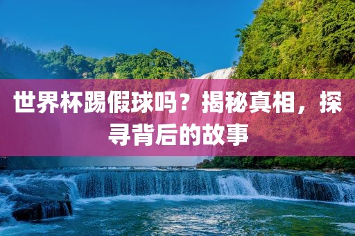 世界杯踢假球吗？揭秘真相，探寻背后的故事