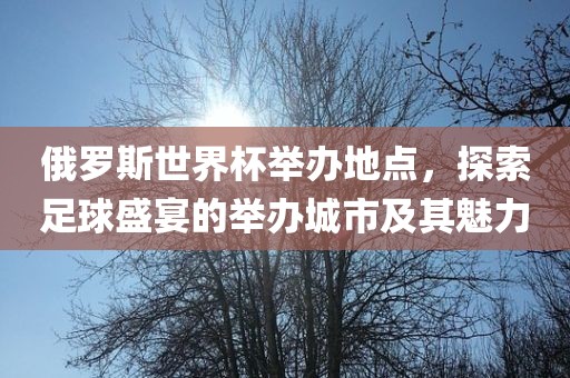俄罗斯世界杯举办地点，探索足球盛宴的举办城市及其魅力