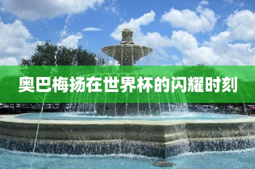 奥巴梅扬在世界杯的闪耀时刻眉山市正发家政服务有限公司