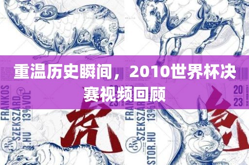 重温历史瞬间，2010世界杯决赛视频回顾
