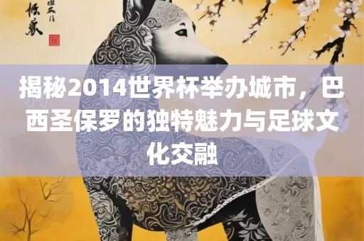 揭秘2014世界杯举办城市，巴西圣保罗的独特魅力与足球文化交融