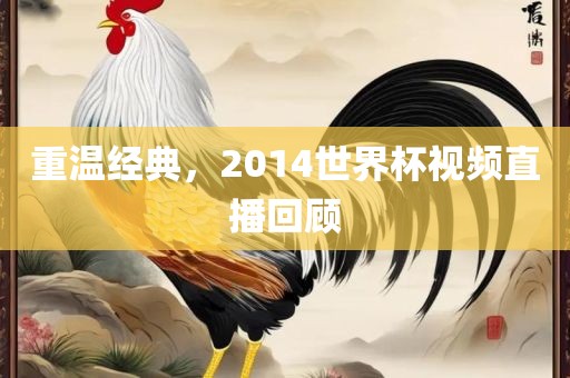 重温经典，2014世界杯视频直播回顾
