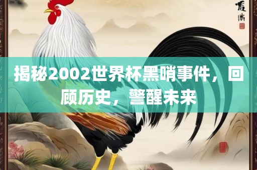 揭秘2002世界杯黑哨事件，回顾历史，警醒未来
