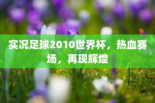 实况足球2010世界杯，热血赛场，再现辉煌