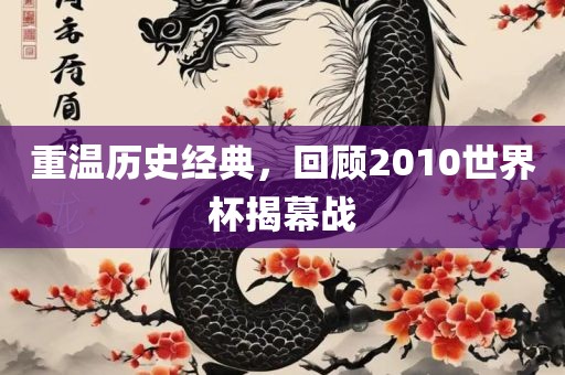 重温历史经典，回顾2010世界杯揭幕战