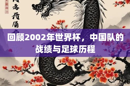 回顾2002年世界杯，中国队的战绩与足球历程