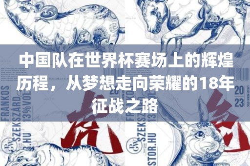 中国队在世界杯赛场上的辉煌历程，从梦想走向荣耀的18年征战之路