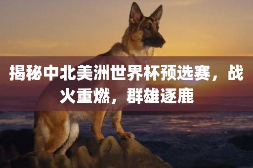 揭秘中北美洲世界杯预选赛，战火重燃，群雄逐鹿