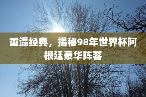 重温经典，揭秘98年世界杯阿根廷豪华阵容