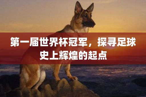 第一届世界杯冠军，探寻足球史上辉煌的起点