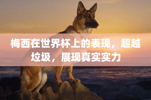 梅西在世界杯上的表现，超越垃圾，展现真实实力