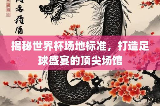 揭秘世界杯场地标准，打造足球盛宴的顶尖场馆