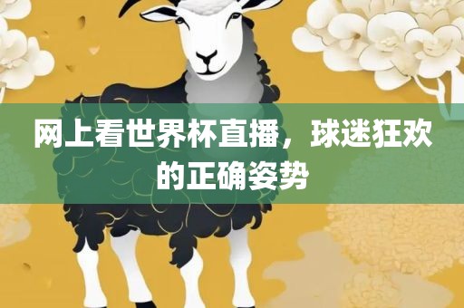 网上看世界杯直播，球迷狂欢的正确姿势