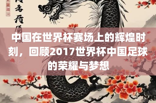 中国在世界杯赛场上的辉煌时刻，回顾2017世界杯中国足球的荣耀与梦想