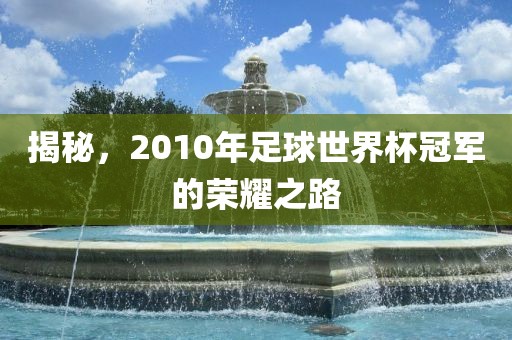 揭秘，2010年足球世界杯冠军的荣耀之路