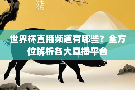 世界杯直播频道有哪些？全方位解析各大直播平台