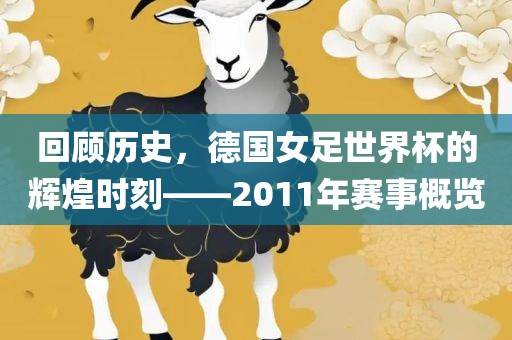 回顾历史，德国女足世界杯的辉煌时刻——2011年赛事概览