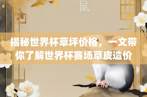 揭秘世界杯草坪价格，一文带你了解世界杯赛场草皮造价