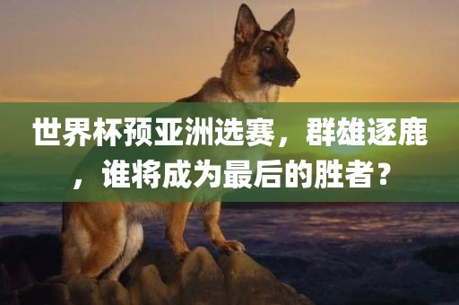 世界杯预亚洲选赛，群雄逐鹿，谁将成为最后的胜者？