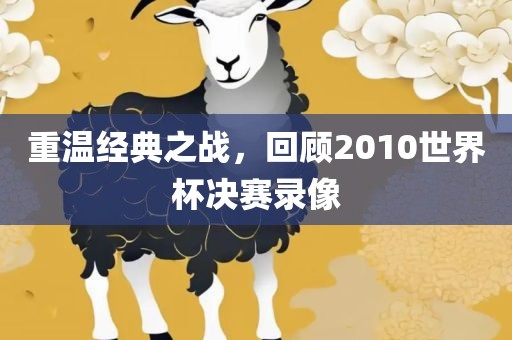 重温经典之战，回顾2010世界杯决赛录像