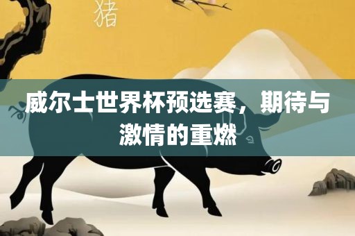 威尔士世界杯预选赛，期待与激情的重燃