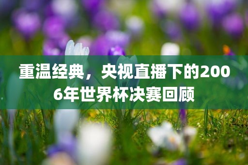 重温经典，央视直播下的2006年世界杯决赛回顾