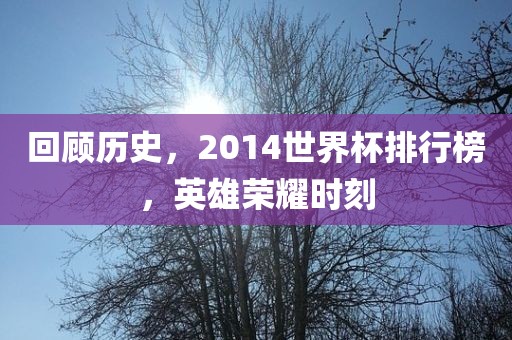 回顾历史，2014世界杯排行榜，英雄荣耀时刻