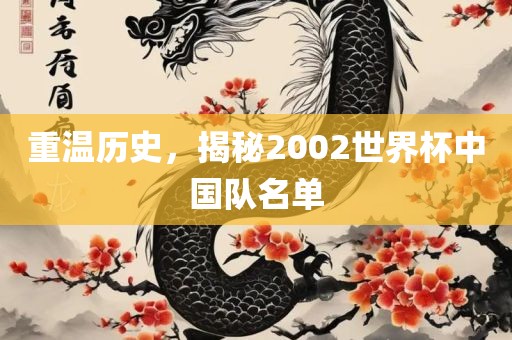 重温历史，揭秘2002世界杯中国队名单
