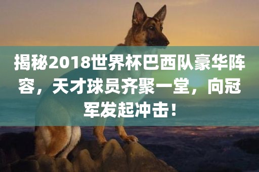 揭秘2018世界杯巴西队豪华阵容，天才球员齐聚一堂，向冠军发起冲击！