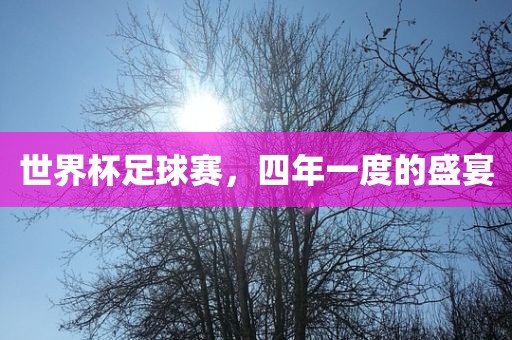 世界杯足球赛，四年一度的盛宴