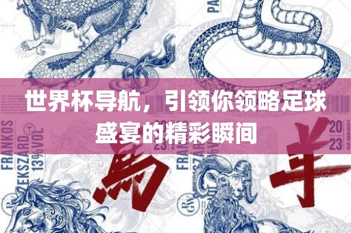 世界杯导航，引领你领略足球盛宴的精彩瞬间