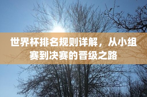世界杯排名规则详解，从小组赛到决赛的晋级之路