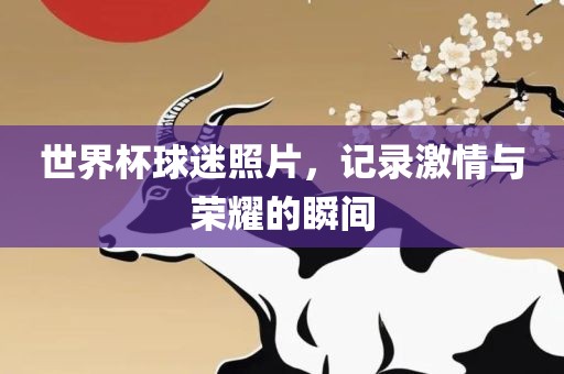 世界杯球迷照片，记录激情与荣耀的瞬间