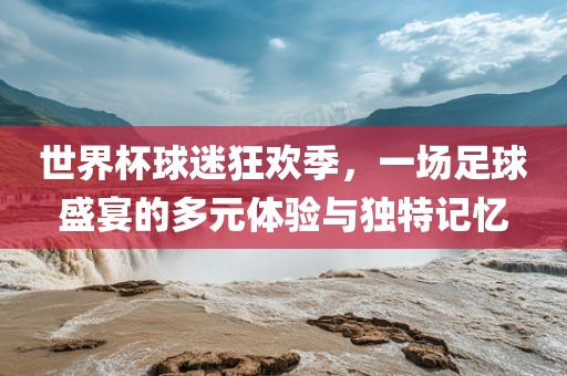 世界杯球迷狂欢季，一场足球盛宴的多元体验与独特记忆