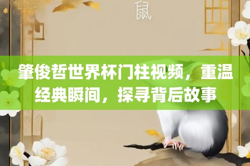 肇俊哲世界杯门柱视频，重温经典瞬间，探寻背后故事