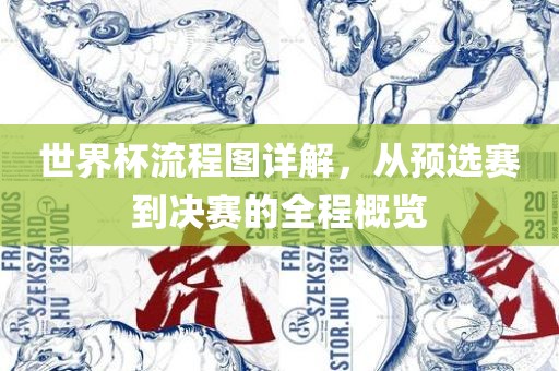 世界杯流程图详解，从预选赛到决赛的全程概览