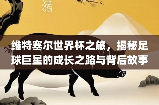 维特塞尔世界杯之旅，揭秘足球巨星的成长之路与背后故事