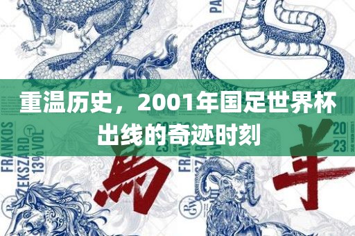 重温历史，2001年国足世界杯出线的奇迹时刻