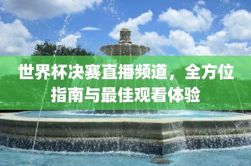 世界杯决赛直播频道，全方位指南与最佳观看体验