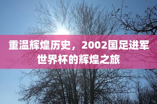 重温辉煌历史，2002国足进军世界杯的辉煌之旅
