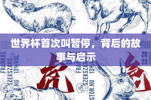 世界杯首次叫暂停，背后的故事与启示