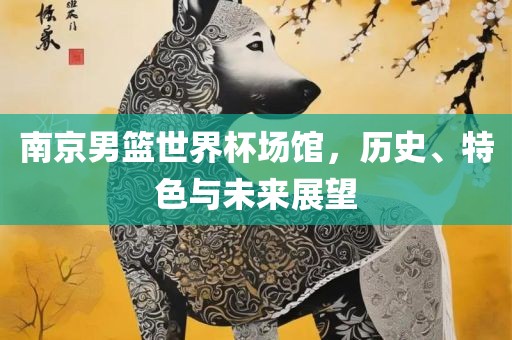 南京男篮世界杯场馆，历史、特色与未来展望