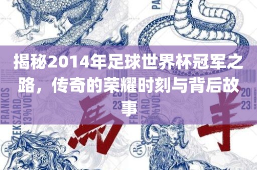 揭秘2014年足球世界杯冠军之路，传奇的荣耀时刻与背后故事